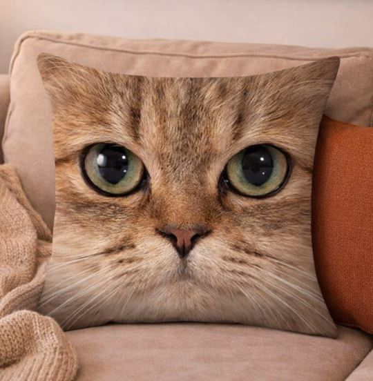 Kussenhoes kattenkop close-up print 45x45 cm | Kussenhoezenwinkel