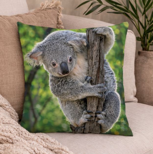 Dieren kussenhoes koalabeer 45x45 cm | Kussenhoezenwinkel
