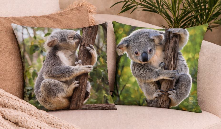Dieren kussenhoes koalabeer 45x45 cm | Kussenhoezenwinkel