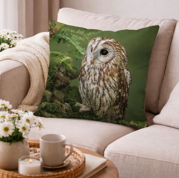 Dieren kussenhoes Uil 45x45 cm | Kussenhoezenwinkel