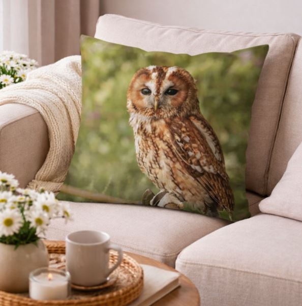 Dieren kussenhoes Uil 45x45 cm | Kussenhoezenwinkel