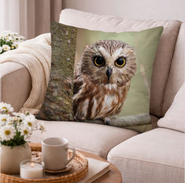 Dieren kussenhoes Uil 45x45 cm | Kussenhoezenwinkel