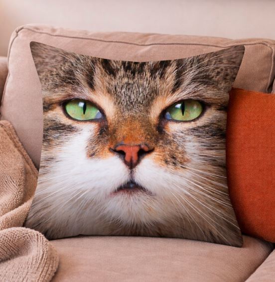 Kussenhoes kattenkop close-up print 45x45 cm | Kussenhoezenwinkel