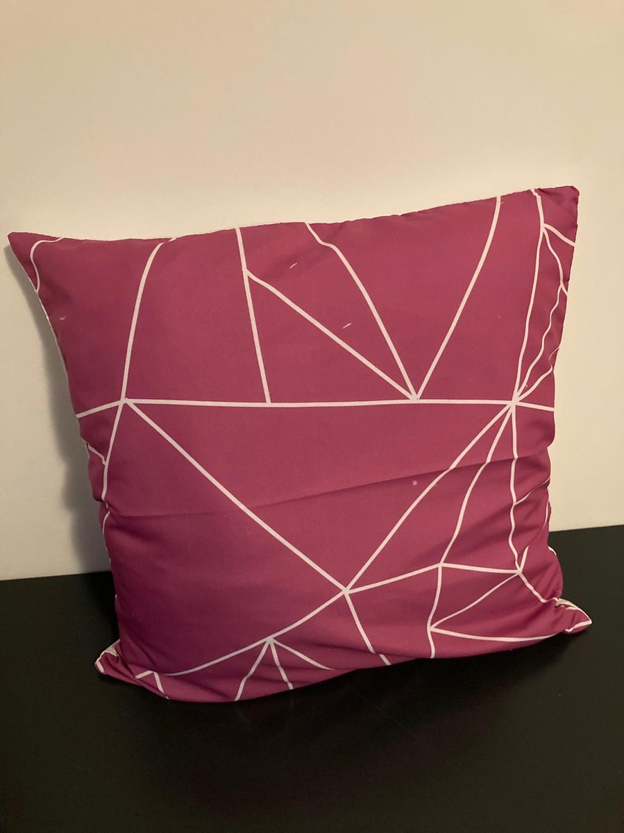 Kussenhoes Purple-White - Paars-Wit
